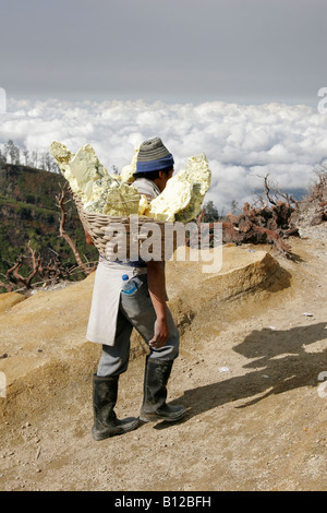 Indonesian man portant des paniers avec le soufre, l'Ijen plateau, l'Est de Java, Indonésie Banque D'Images