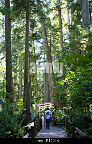 Les touristes sur le sentier par de vieux arbres en croissance Cathedral Grove l'île de Vancouver, Canada Banque D'Images