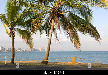 PALMS Amador Causeway Bay SKYLINE RÉPUBLIQUE DU PANAMA PANAMA CITY Banque D'Images
