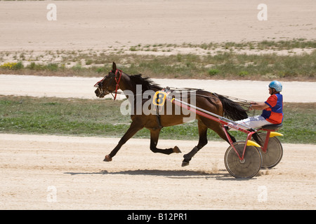 Courses de cendre et de sable au champ de course de Marsa, Trotters, courses hippiques, courses attelées au Racing Club, Racecourse Street, Marsa, Malte. Banque D'Images