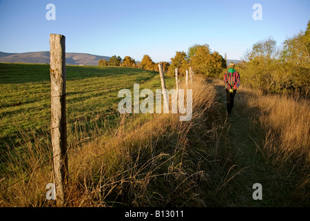 Femme marche à travers un champ espagne Banque D'Images