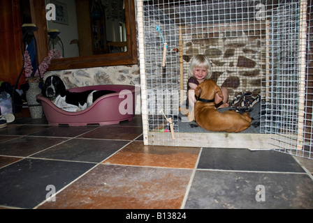 Stock photo d'une blonde haried fillette de deux ans à jouer avec son chiot dans la cage de chien Banque D'Images