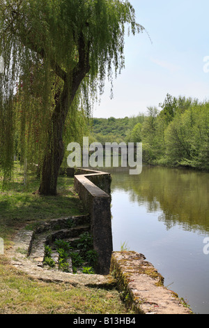 Saule pleureur par débarcadère sur la rivière Yonne, au-dessous de Mailly le Chateau en Bourgogne, France. Banque D'Images