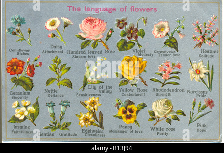 Carte postale en relief et Chromolithographed du langage des fleurs vers 1905. Banque D'Images