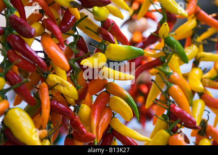 Piments de couleurs vives pour la vente au marché du Rialto, Venise, Italie Banque D'Images