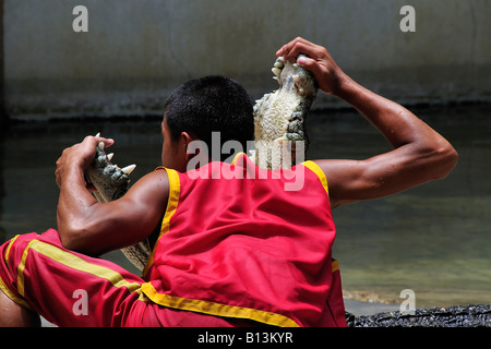 L'homme asiatique montrant l'extrême courage en mettant sa tête dans un crocodile de la bouche. Banque D'Images