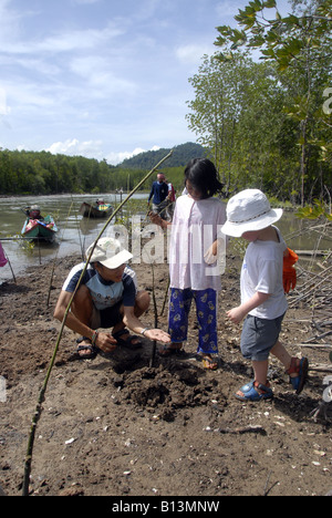 Tui, Thai enfant et Wilf aidant avec la plantation de mangroves au cours d'un village homestay, Ban Talae Nok, Thaïlande Banque D'Images