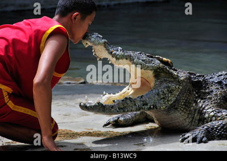 L'homme asiatique montrant l'extrême courage en embrassant un crocodile. Banque D'Images