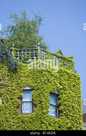 Appartements en brique couverte de lierre Nine Elms Vauxhall London UK Banque D'Images