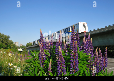 Le système de transport rapide Skytrain, Vancouver et le Lower Mainland de la Colombie-Britannique Banque D'Images