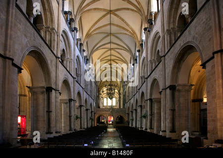 Vue de la nef de la cathédrale de Chichester Chichester City West Sussex England Angleterre UK Banque D'Images