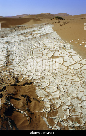 Géographie / voyage, Namibie, Désert du Namib, les paysages, la végétation, la sédimentation avec sel, Sossusvley Additional-Rights Clearance-Info-Not-Available- Banque D'Images