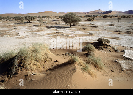 Géographie / voyage, Namibie, Désert du Namib, les paysages, la végétation, la sédimentation avec argile, Sossusvley Additional-Rights Clearance-Info-Not-Available- Banque D'Images