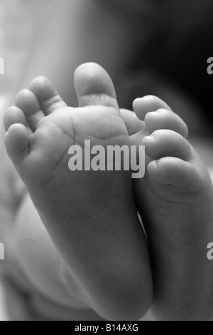 Close up photo d'un bébé âgé de 2 mois pris pieds en noir et blanc Banque D'Images