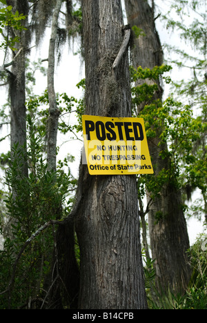 Posté aucune chasse aucune intrusion sign in Bayou Cane, près de la Nouvelle Orléans en Louisiane Banque D'Images