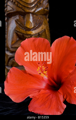 Un tiki Hawaiien et un soleil jaune hibiscus Banque D'Images