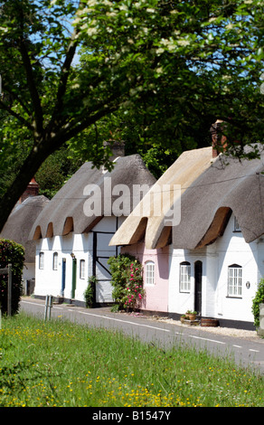 Rangée de chaumières Hampshire Angleterre Anglais Banque D'Images