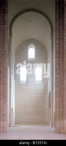 Fontevrault-l'Abbaye, eglise interieur, croisement nord, Seitenschiff Banque D'Images