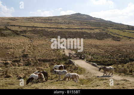 Brown Willy sur Bodmin Moor de Tor Banque D'Images