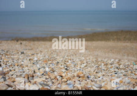 Close-up d'une plage de galets à Whitstable, Kent, Royaume-Uni Banque D'Images