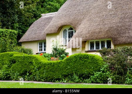 Chaumière inhabituelle dans le joli village de Exmoor Selworthy Angleterre Somerset Banque D'Images