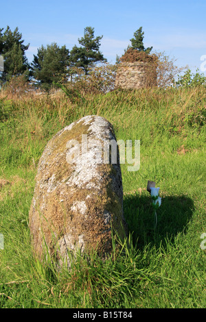 Une pierre tombale sur le champ de bataille de Culloden Moor Invernessshire Drumossie Inverness Ecosse Banque D'Images