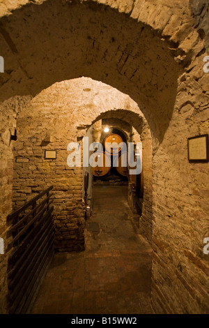 Italie, Toscane, Montepulciano, tonneaux de vin en cave Banque D'Images