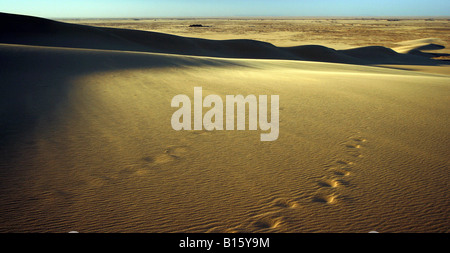 Tahaggart Tassili Ahaggar Sahara Algérie Banque D'Images