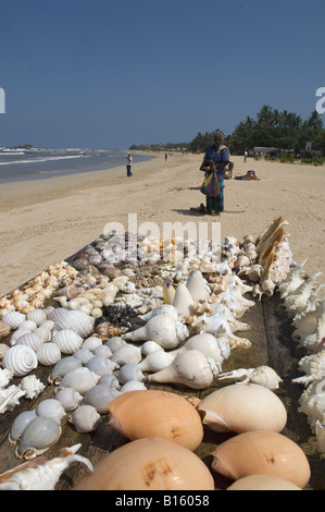 Les réservoirs à vendre sur plage près de Beruwala Banque D'Images