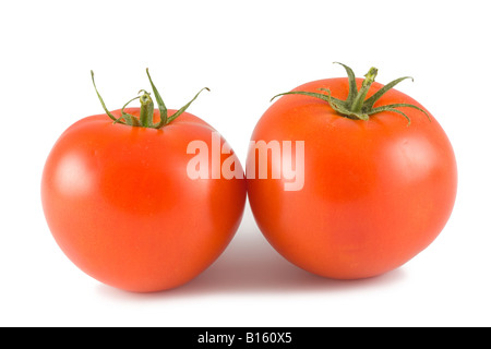 Deux tomtoes rouge isolé sur fond blanc Banque D'Images