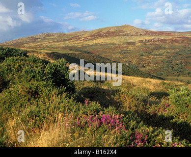 Vue sur la lande de Dartmoor vers Brat Tor de haut en bas, B-3660 Devon, UK Banque D'Images