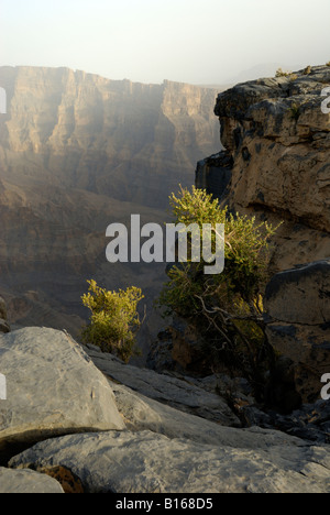 À Wadi Ghul, dans un canyon de 3 000 pieds au-dessous de Jebel Shams, le plus haut sommet d'Oman Banque D'Images