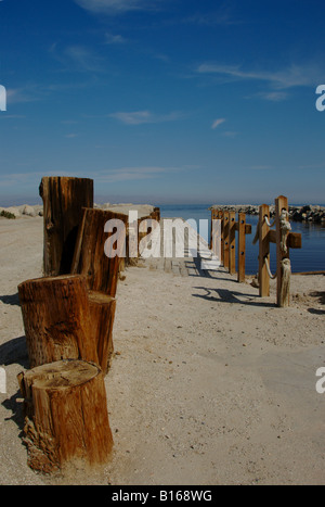 Jetée en bois, le lac Salton - un écosystème menacé, California, USA Banque D'Images