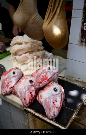 Mouton peau têtes sur market stall à Fez Maroc Banque D'Images