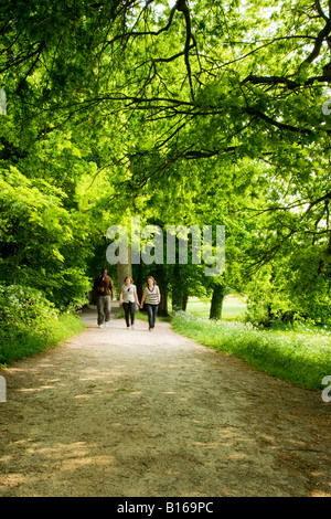 Trois personnes marchant le long d'un chemin bordé d'arbres en été à Coate Water Country Park, près de Swindon, Wiltshire, England, UK Banque D'Images