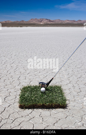 Patch d'herbe dans le désert avec une balle de golf et club Banque D'Images