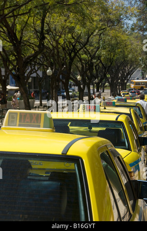 Taxis jaunes taxis taxi taxi taxi taxi parking à proximité à la station de taxis Dans une rue Funchal Madère Portugal UE Europe Banque D'Images