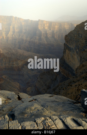 À Wadi Ghul, dans un canyon de 3 000 pieds au-dessous de Jebel Shams, le plus haut sommet d'Oman Banque D'Images