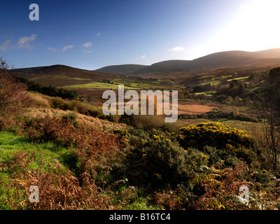 Vallée de la Nièvre montagnes Comeragh County Waterford Irlande Banque D'Images