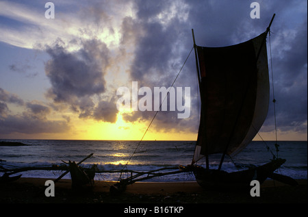 Outrigger Sri-Lankais bateau de pêche. Negombo, Sri Lanka. Banque D'Images