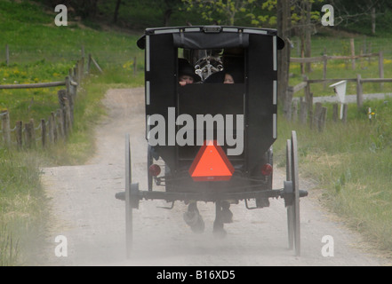 Cheval et buggy Amish on country road Banque D'Images