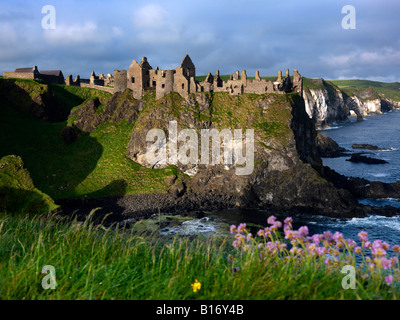 Le Château de Dunluce, co Antrim, en Irlande du Nord Banque D'Images