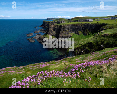 Le Château de Dunluce, co Antrim, en Irlande du Nord Banque D'Images