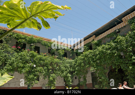 Belle cour intérieure dans un style espagnol Tapas Bar et restaurant à Los Alcazares sur la Costa Calida, Côte Est de l'Espagne Banque D'Images