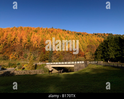 Vallée de la Nièvre montagnes Comeragh County Waterford Irlande Banque D'Images