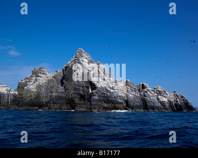 Little Skellig, Irlande Banque D'Images