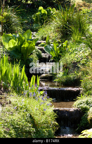 Jardin ensoleillé au printemps flux Banque D'Images