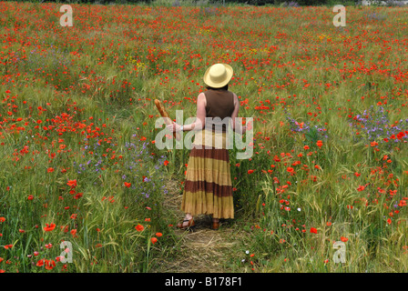 Dame marche à travers champ de fleurs sauvages portant une baguette Banque D'Images