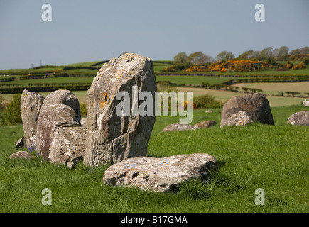 Close up de certaines des pierres dans le cercle de pierres mégalithiques ballynoe en date du site à environ 2000BC dans le comté de Down Banque D'Images