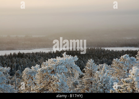 Vue du haut de la colline de Vaattunkivaara sur les forêts hivernales en cercle Arctique randonnée, Rovaniemi, Laponie finlandaise Banque D'Images